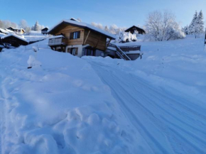 Le chalet du Brabant à 200 mètres des pistes La Bresse